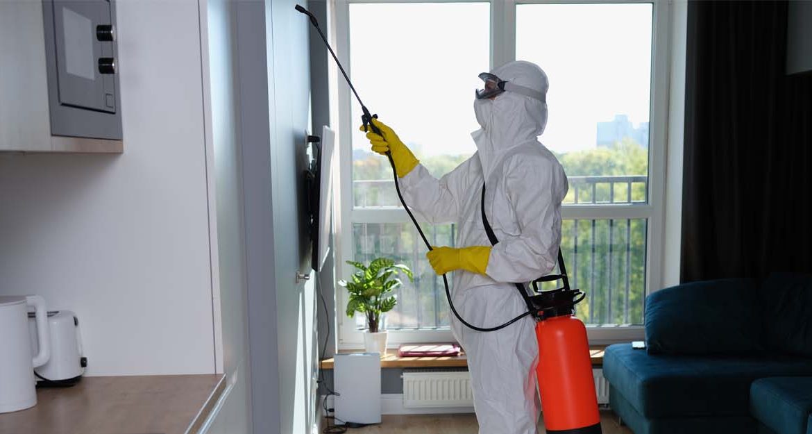 افضل شركة مكافحة الفيران في مدينة نصر