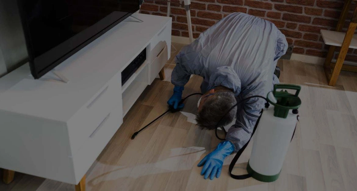 افضل شركة مكافحة الفئران في الرحاب