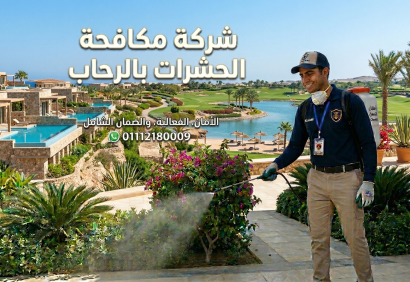 Gemini_Generated_Image_9x2o7l9x2o7l9x2o (1)