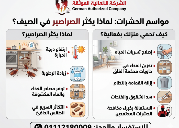 Gemini_Generated_Image_iipwp1iipwp1iipw