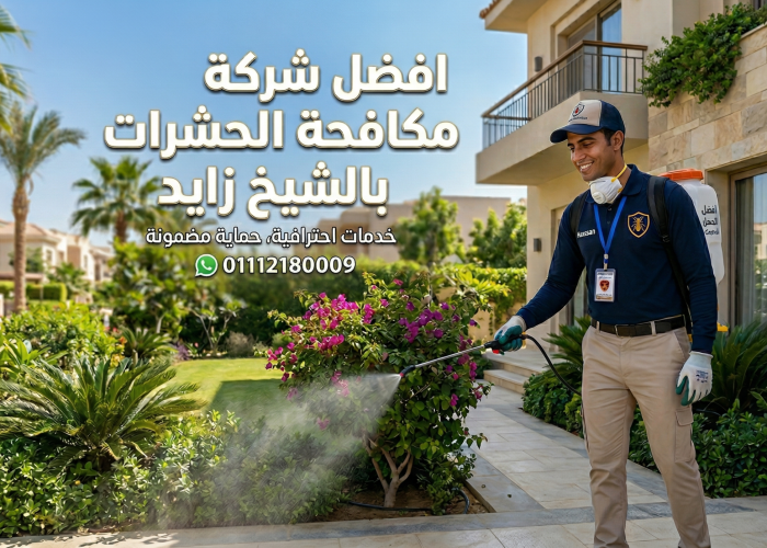 Gemini_Generated_Image_qsew2fqsew2fqsew